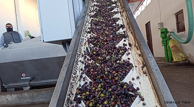 Zeytin bahçeleri tarıma dayalı sanayiyi geliştiriyor