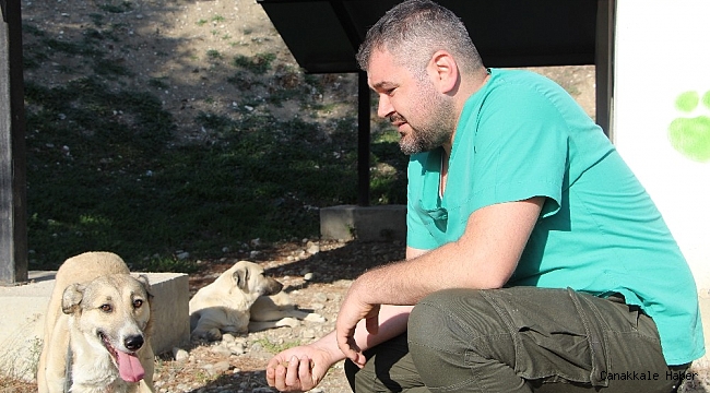 2 aylık iken yaralı bulunan Lady, 5 yıl sonra yuvaya döndü