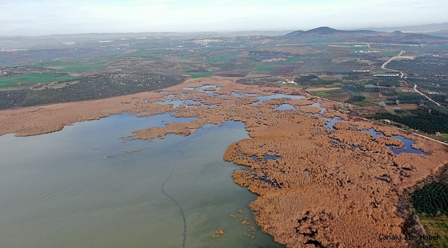 2600 yıllık geçmişi olan Uluabat Gölü&#039;nde kuraklık tehlikesi