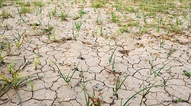 Adana'da son 92 yılın en kurak kışı yaşanıyor
