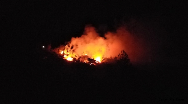 Adana&#039;daki orman yangını söndürüldü