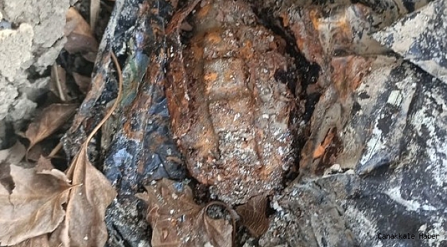 Ağaç kovuğuna el bombası saklayan iki şüpheli yakalandı