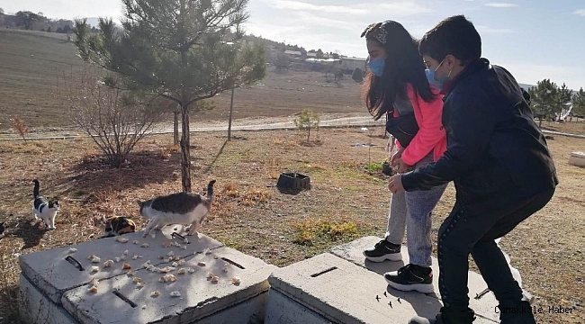 Anadolu Lisesi'nde "Sokak Hayvanlarını Besliyorum" projesi