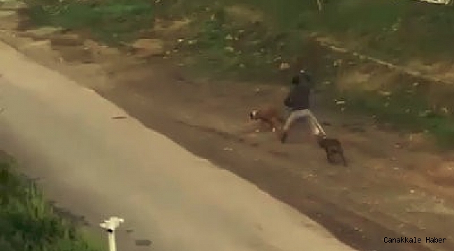 Antalya'da sokak ortasında vicdanları sızlatan görüntüler