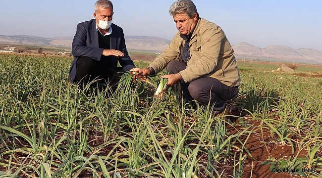 Arabanlı çiftçilerin kuraklık endişesi