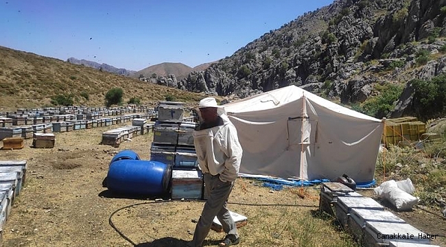 Arıcılık ve İpekböcekçiliğine destek