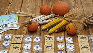 Atalık tohumlar kentliler ile buluşuyor