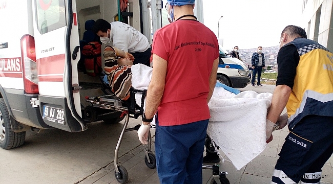 Av tüfeğiyle domuzu vurdu, seken kurşun arkadaşını yaraladı