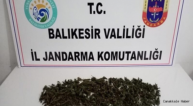 Ayvalık&#039;ta uyuşturucu tacirleri jandarmadan kaçamadı