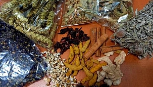 Bağışıklık sistemini adeta çelik gibi yapan ürünler