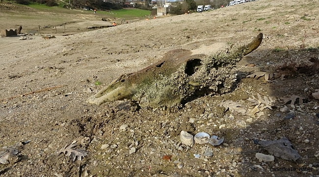 Barajdaki sular çekildi, sudan çıkanları görenler şaşkına döndü