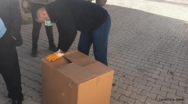 Başkale Belediyesi yaralı yavru köpeğe sahip çıktı