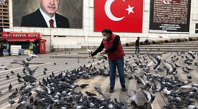 Başkan, kısıtlamada sokakta aç kalan hayvanları besledi