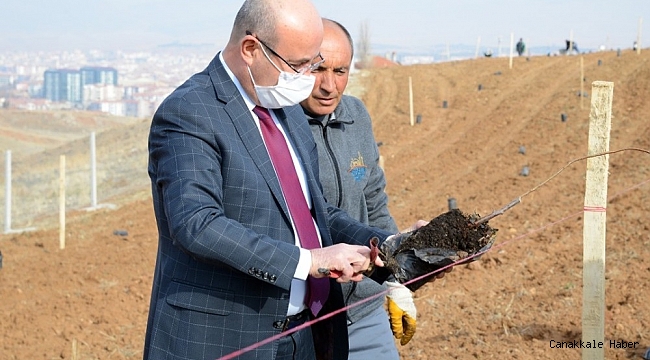 Belediye, Hızırağa mevkine ağaçlandırma ve peyzaj çalışmasına başladı