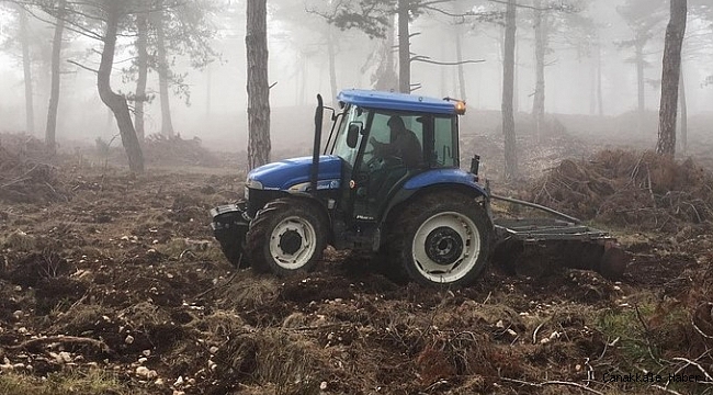 Bolu Aladağ&#039;da doğal gençleştirme çalışmaları tamamlandı