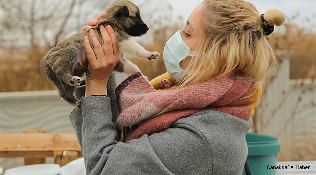 Boş kalan sokaklarda yiyecek bulmakta zorlanan sokak hayvanları unutulmadı