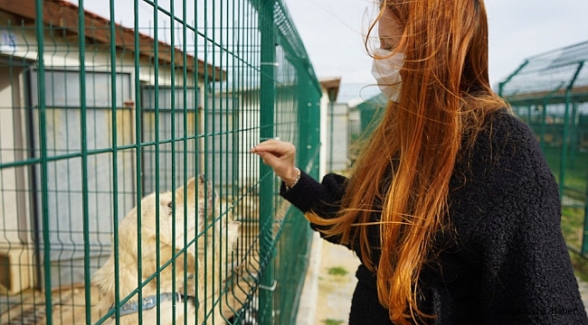 Can dost 'boncuk' için seferberlik