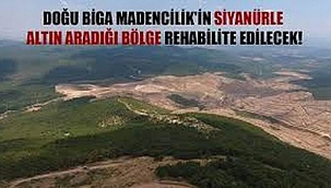 Çanakkale Orman Müdürlüğü: Altın aranan bölge rehabilite edilecek