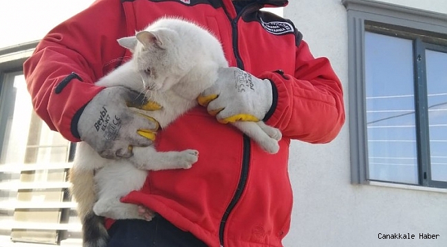Çatıda mahsur kalan kediyi itfaiye kurtardı