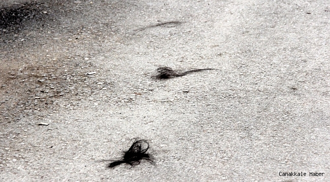 Darp edilen kadın saçlarını yoldan topladı