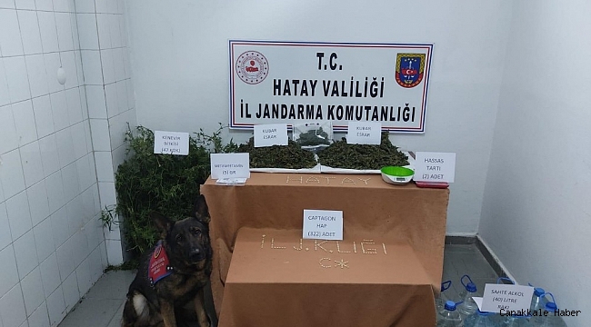 Defne&#039;de Jandarmadan uyuşturucu operasyonu: 1 gözaltı