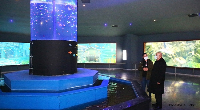 Deniz Dünyası&#039;nda üretilen balıklar vatandaşa hediye edilecek