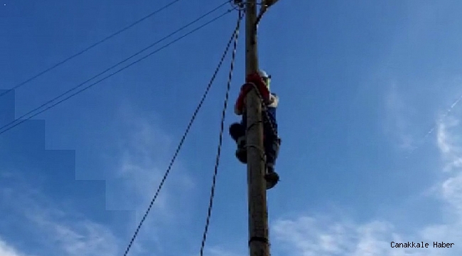 Direkte mahsur kalan kediyi fark etti, özel aparatlarını giyip kurtardı