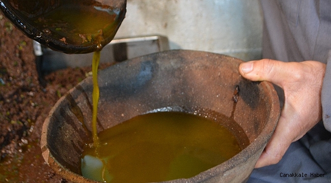 Doğanın iksiri zeytin sütü