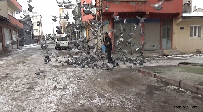 Eksi 20 derece soğukta güvercinleri besliyor