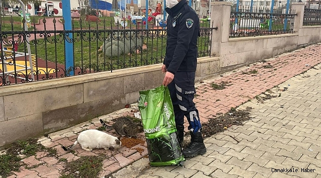 Ergene Belediyesi sokak hayvanlarını yalnız bırakmıyor