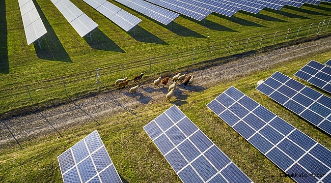 Eskinazi'den '2020' değerlendirmesi