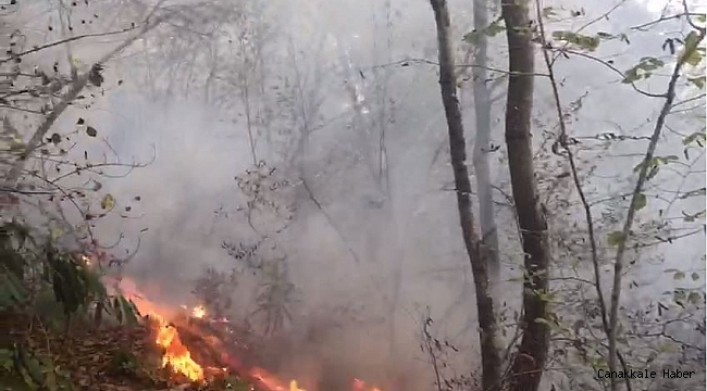 Giresun'da 4 günde 63 kırsal yangın meydana geldi
