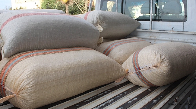 Giresun'da serbest piyasada fındık fiyatları 23 lira 50 kuruş civarında seyrediyor