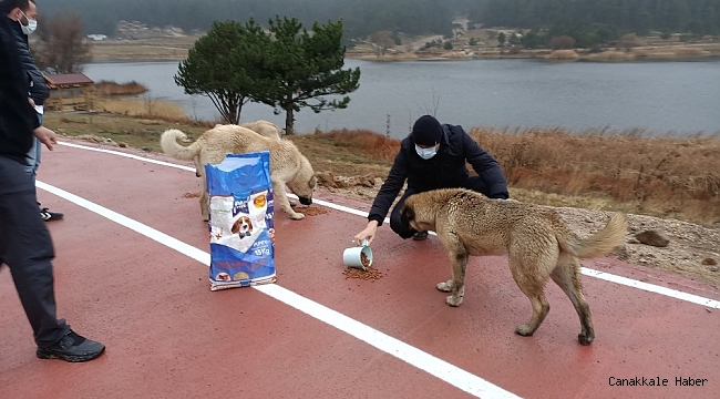 Gölcük mesire alanındaki hayvanlar unutulmadı