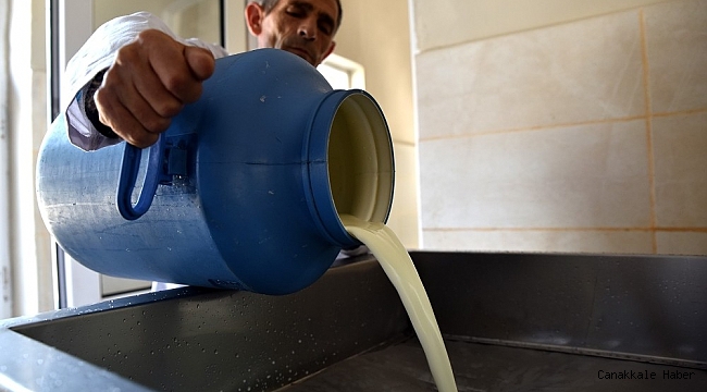 Günde 3 ton süt işleniyor