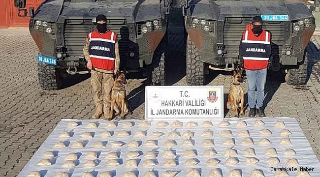 Hakkari'de 48 kilo eroin ele geçirildi