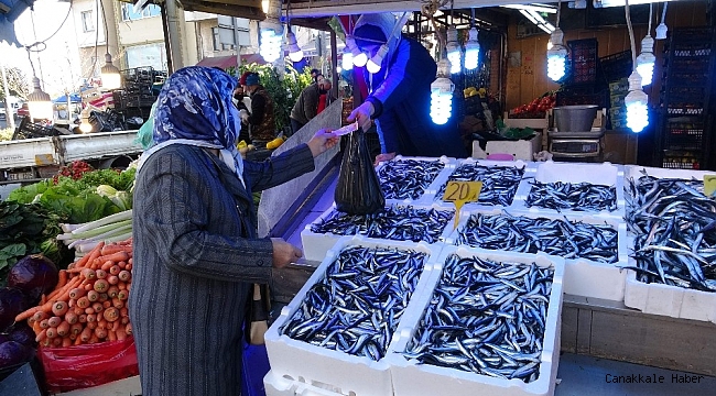 Hamsinin peşinden bu kez Gürcistan&#039;a değil İğneada&#039;ya gittiler