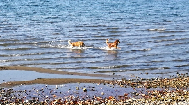 İznik sahilinin tadını onlar çıkardı