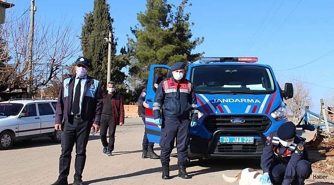 Jandarmadan sokak hayvanlarına şefkat eli