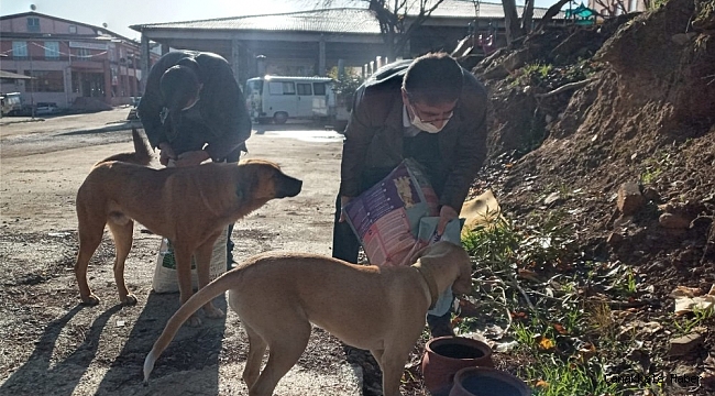 Karacasu'da Başkan İnal can dostları unutmadı