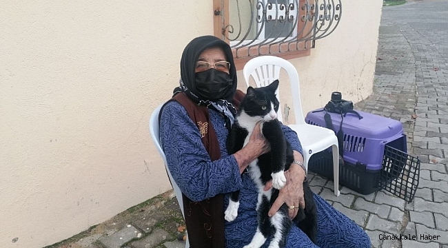 Kedisini severken sertliği hissetti, soluğu jandarmada aldı