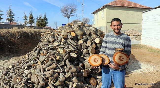 Kesilen ağacın gövdesinden &quot;ay yıldız&quot; figürü çıktı