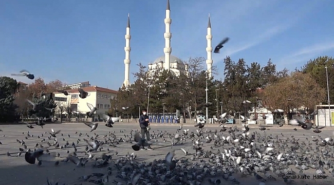 Kırıkkale'de kısıtlama mağduru güvercinleri gazeteci besledi