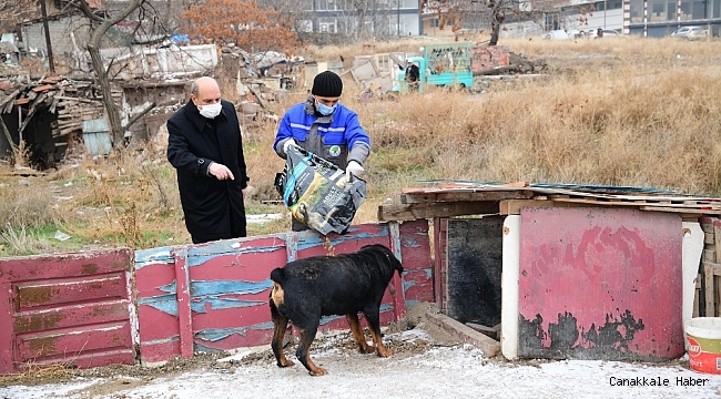 Mamak&#039;ta sokak hayvanları sahipsiz değil