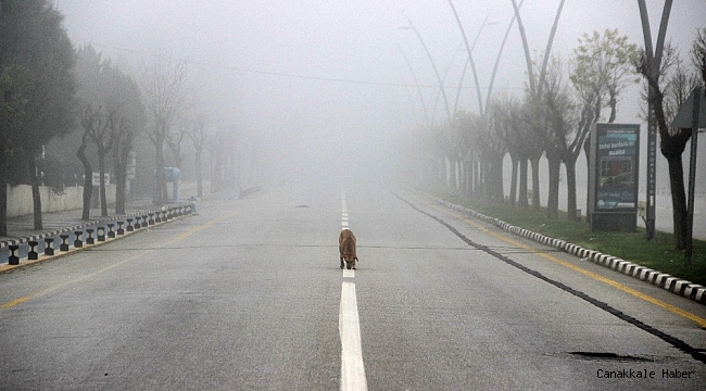 Manisa kısıtlamanın son gününe sis içinde uyandı