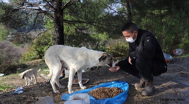Menderes'te sokağa çıkma kısıtlamasında sokak hayvanları unutulmadı