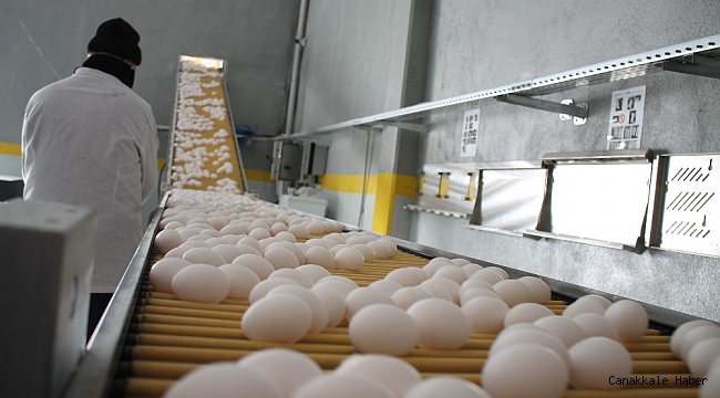 Midyat&#039;tan dünyaya açılan kapı &#039;NurEgg Yumurta&#039;