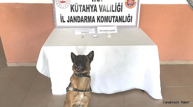 Narkotik köpeği Mola göz açtırmadı