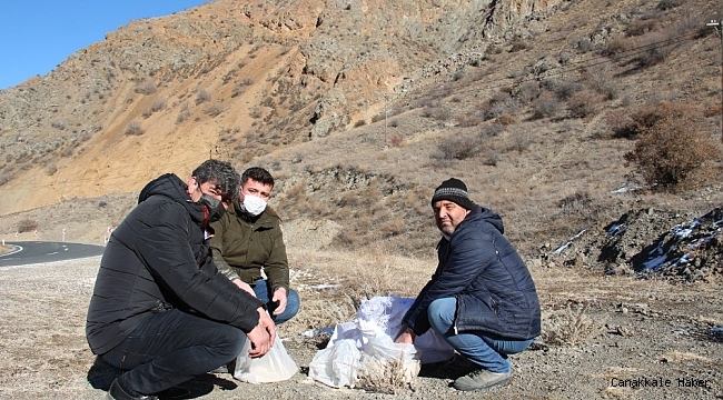 Oltulu hayvan severler doğadaki kuşlara yem bıraktılar