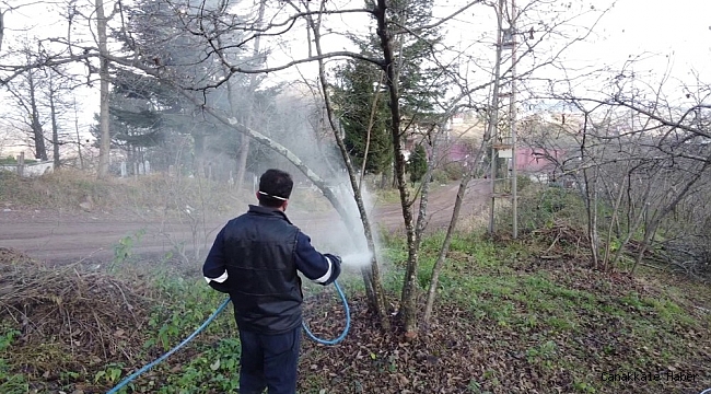 Ordu'da fındık bahçeleri büyükşehire emanet